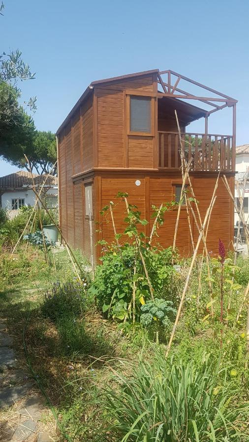 Casa De Madera De Sancti Petri Villa Chiclana de la Frontera Esterno foto
